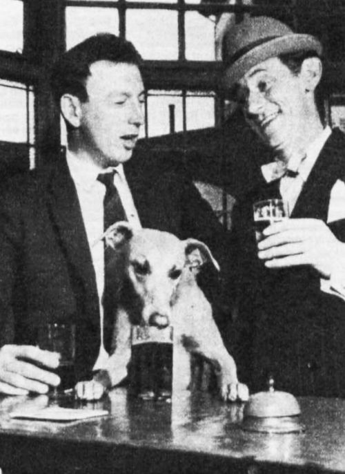 Two men and a dog drink beer
